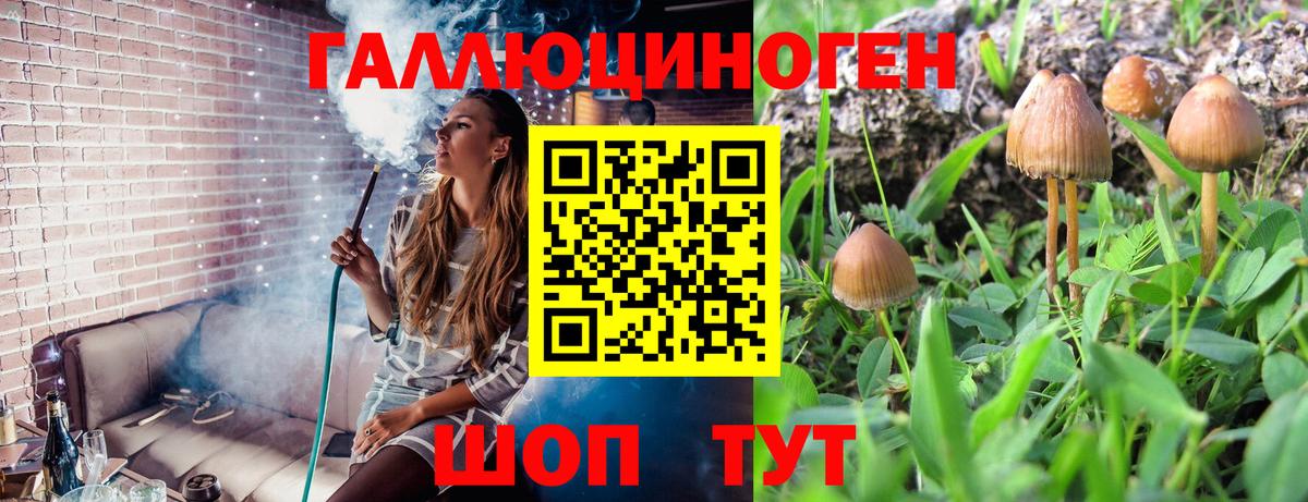 Галлюциногенные грибы прущие грибы Черняховск